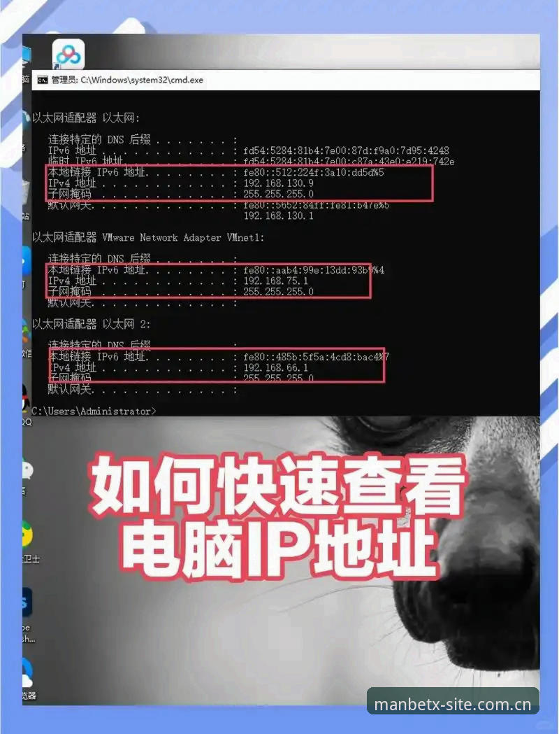 新手如何快速找到manbetx官方地址？从注册到下载全流程解析